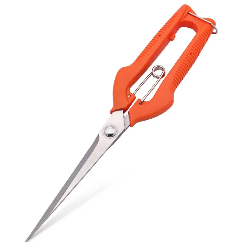 Grape Scissors Pruning Shears  – Furniture Joining Hardware Bewertung und Preis