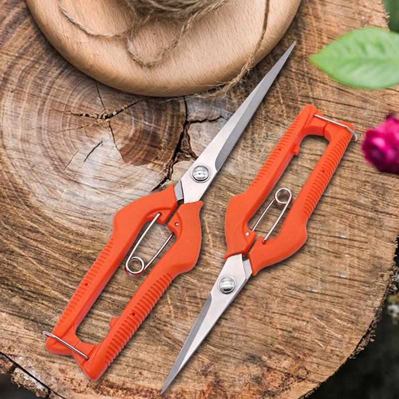 Grape Scissors Pruning Shears  – Furniture Joining Hardware Bewertung und Preis