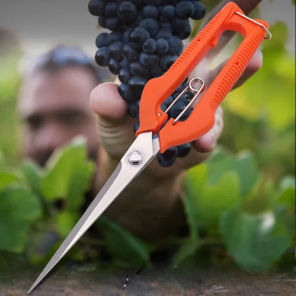 Grape Scissors Pruning Shears  – Furniture Joining Hardware Bewertung und Preis