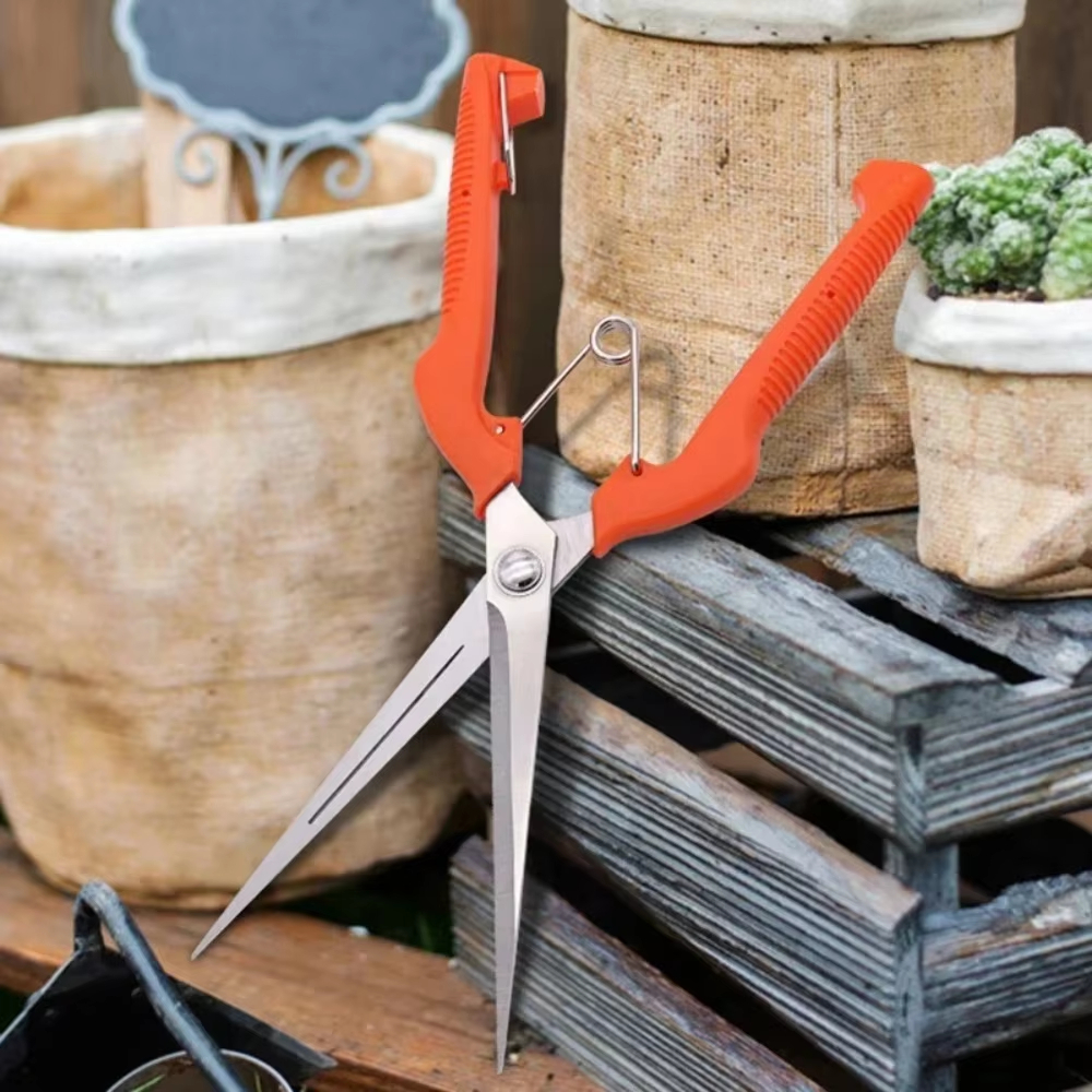 Grape Scissors Pruning Shears  – Furniture Joining Hardware Bewertung und Preis