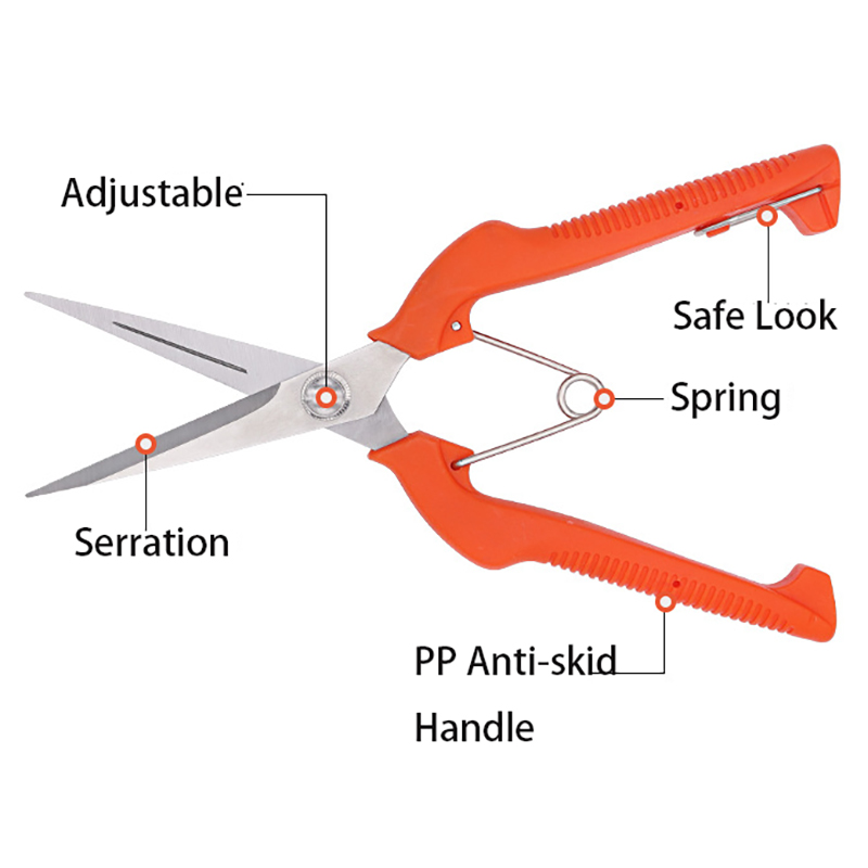 Grape Scissors Pruning Shears  – Furniture Joining Hardware Bewertung und Preis