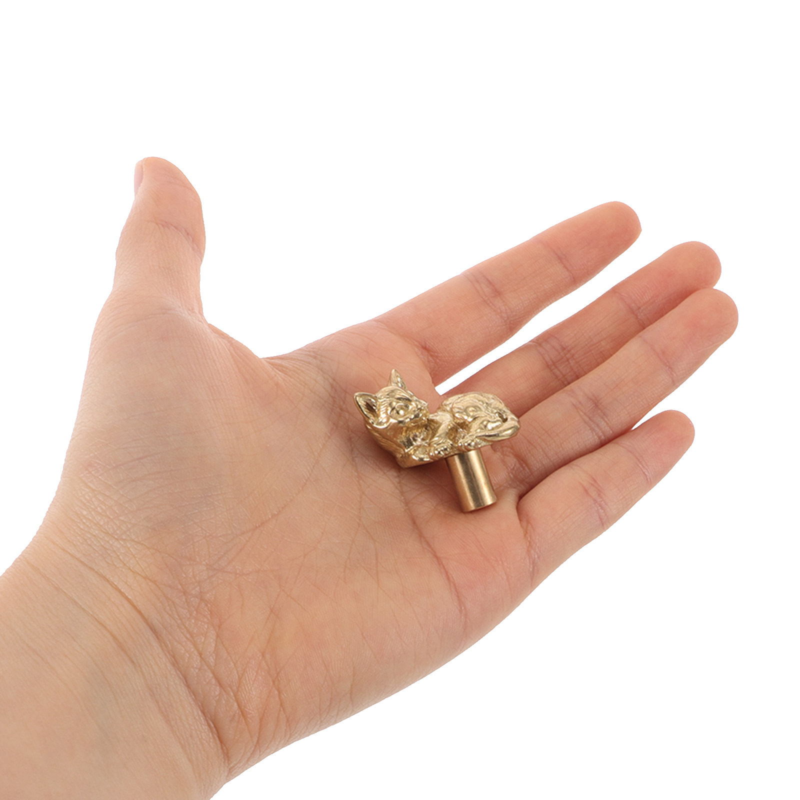 Cat Brass Door Handle Unique D – Unique Furniture Hardware Pulls Bewertung und Preis